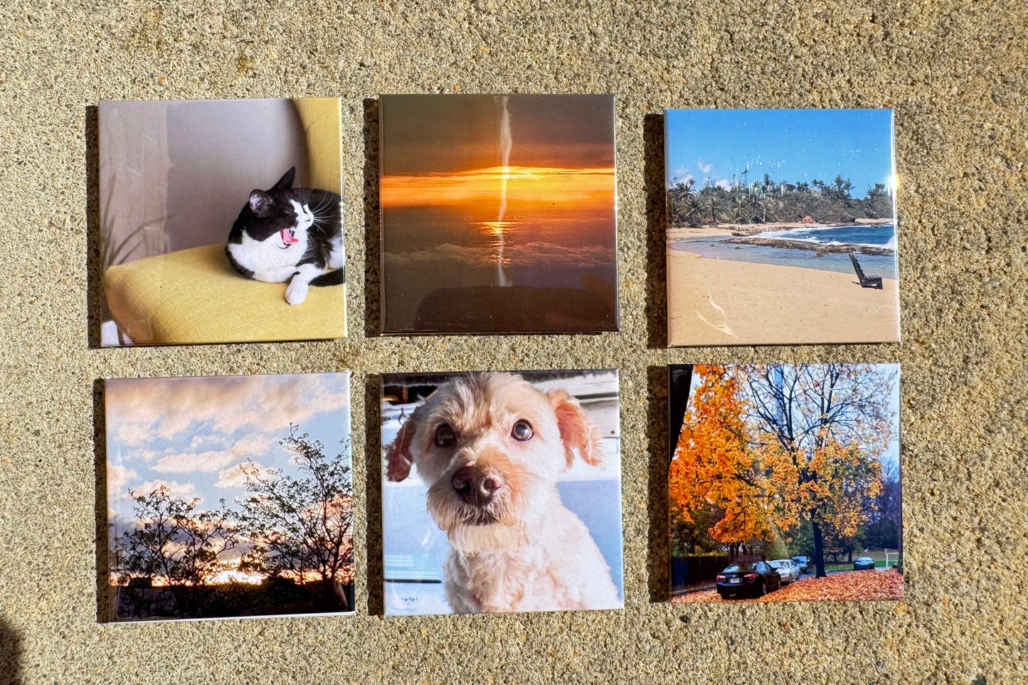 Set of 6 Custom Magnets